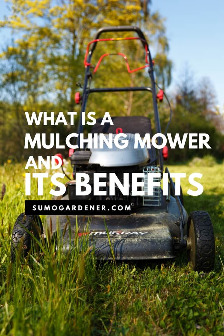 What is a Mulching Mower? Sumo Gardener