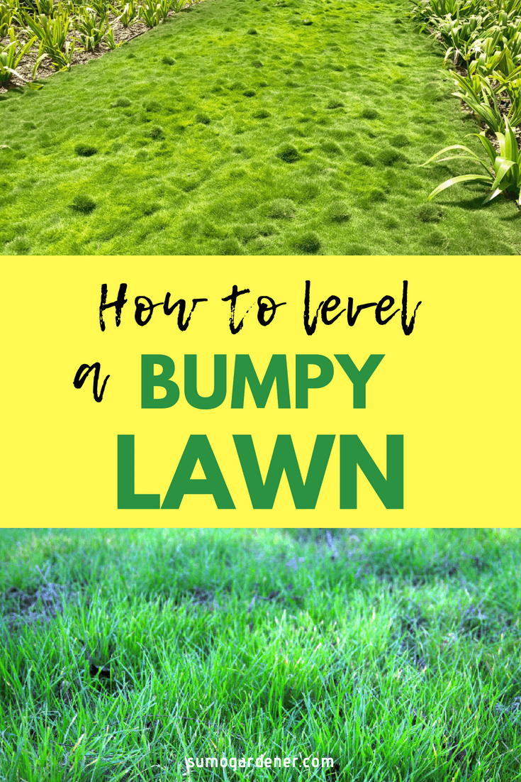 How To Level a Bumpy Lawn (Causes and Fixes) Sumo Gardener