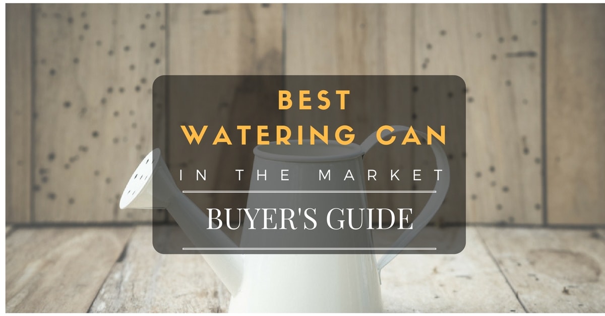 5 Best Watering Can for Your Garden 2024 Buyers' Guide