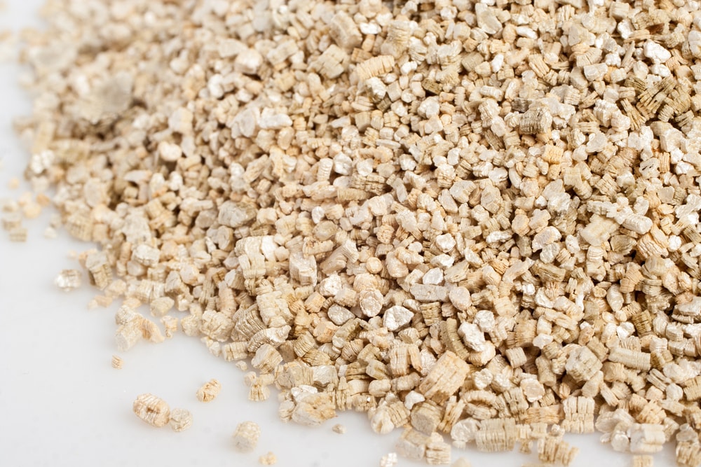 Vermiculite vs Perlite Difference + When and How To Use
