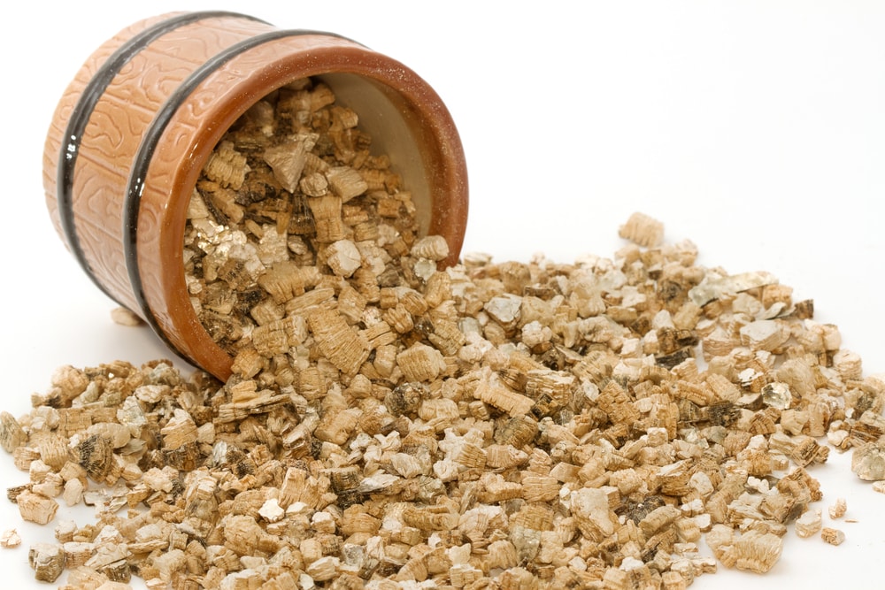 Vermiculite vs Perlite Difference + When and How To Use