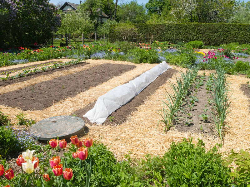 How Much Mulch Do I Need? - Everything You Need To Know