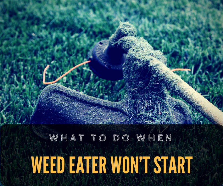 Why Weed Eater Won't Start? Diagnosis and EASY Repair