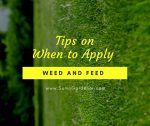 Tips on when to apply weed and feed