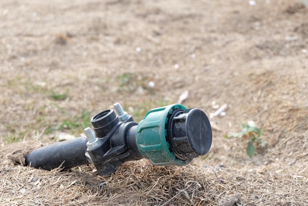 How to Water Your Lawn By Sprinkler In The Right Way Sumo Gardener