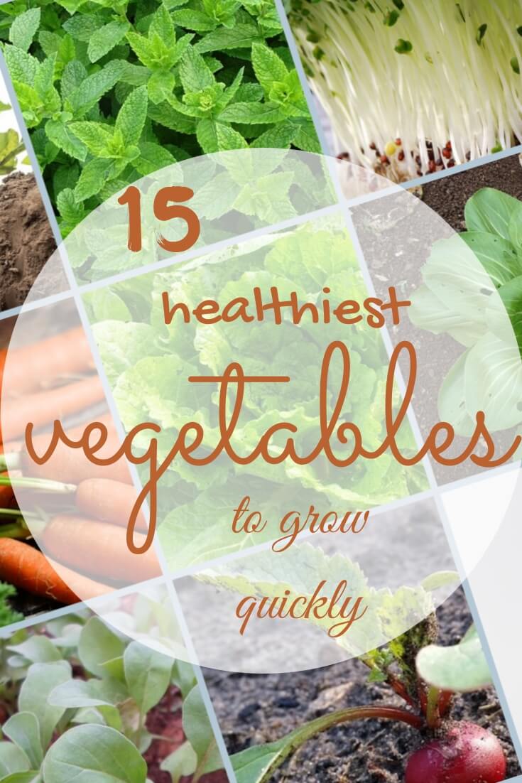 15 Healthiest Vegetables to Grow Quickly Sumo Gardener
