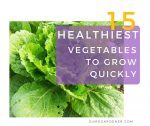 15 Healthiest Vegetables to Grow Quickly