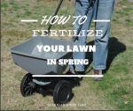 How to Fertilize Your Lawn in Spring