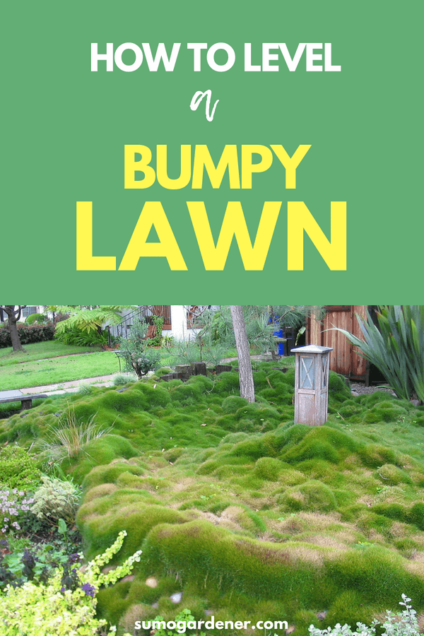 How To Level a Bumpy Lawn (Causes and Fixes) Sumo Gardener