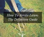 How To Aerate Lawn