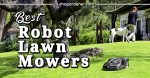 11 Best Robot Lawn Mowers in 2021