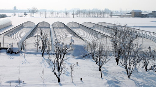 greenhouse in winter