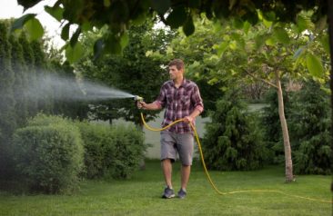 How to Get Rid of Mealybugs, The Little White Fuzzy Bugs on Plants