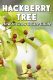 Hackberry Tree | How to Grow and Care Guide - Sumo Gardener