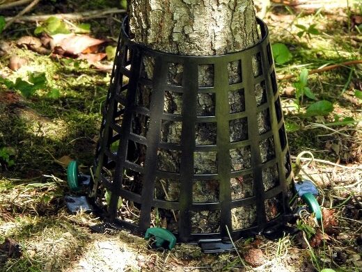 Tree Guard Review
