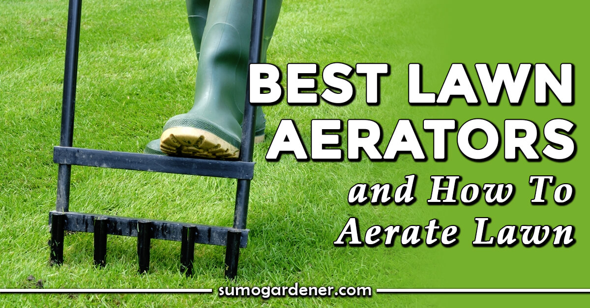 8 Best Lawn Aerators for 2024 Sumo Gardener