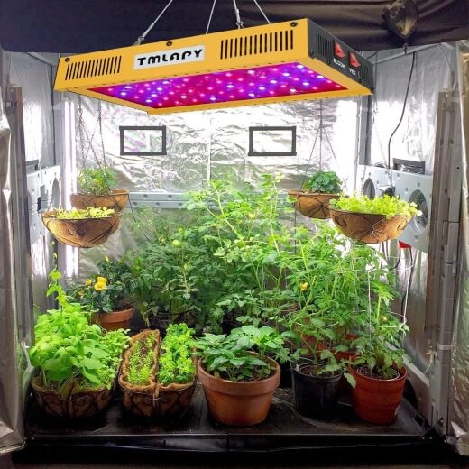 7 Best 600 Watt LED Grow Lights for 2022 Sumo Gardener