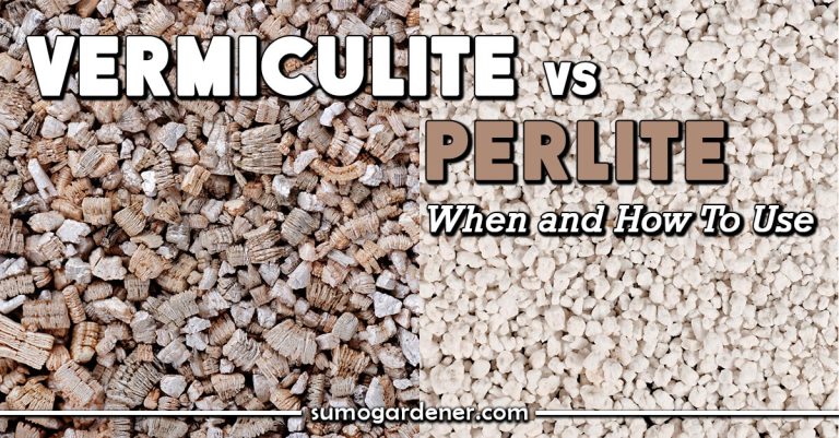 Vermiculite vs Perlite When and How To Use