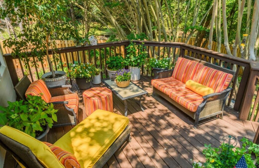 Patio Plants to Grow on Your Outdoor Space Patio Plants to Grow on Your Outdoor Space