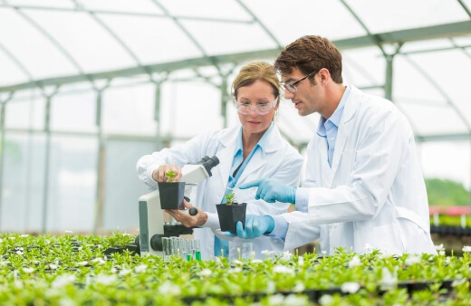 Botany visual data 4