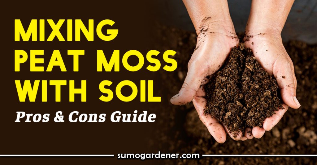 Mixing Peat Moss with Soil Pros & Cons Guide