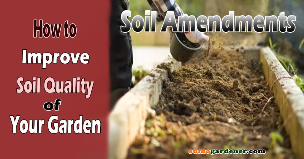 Soil Amendments _ How to Improve Soil Quality of Your Garden