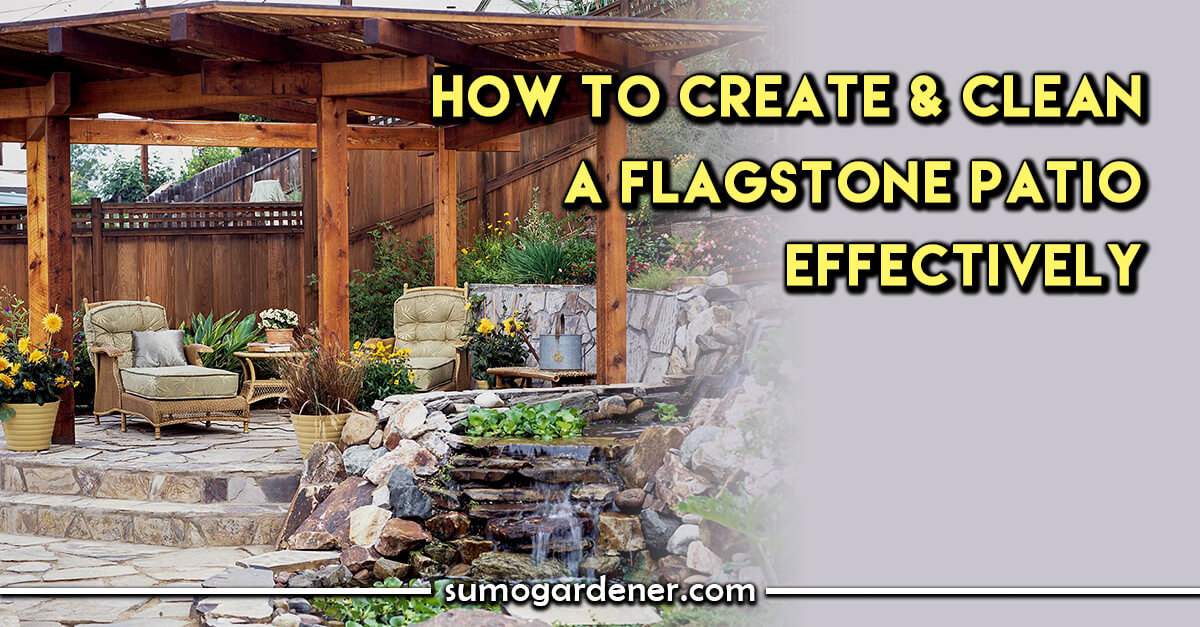 How to Create and Clean a Flagstone Patio Effectively Sumo Gardener