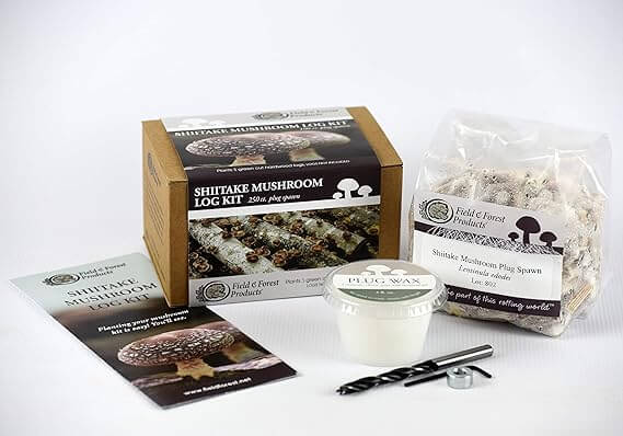 Field Forest Mushroom Grow Kit